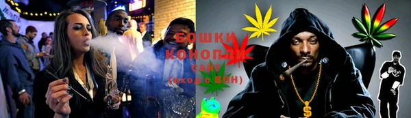 прущие грибы Армянск
