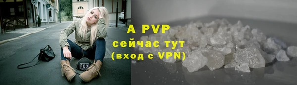 прущие грибы Армянск