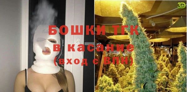 прущие грибы Армянск