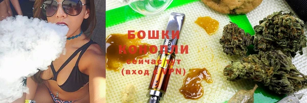 прущие грибы Армянск