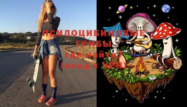 мдпв Арсеньев